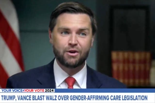 <p>Republican Vice President JD Vance speaks on ABC This Week to talk mass deportation and his “childless cat lady” comments.</p>